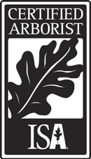 ISA Certified Arborist - Central Tree Care, Tree Service Toronto
